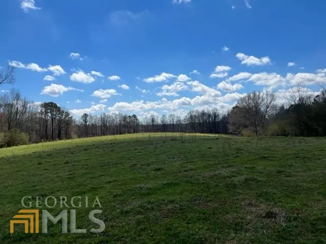 0 Roopville Veal Road- 45.17 Acres, Roopville, GA 30170