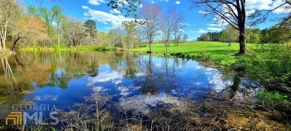 Covington, GA 30014,876 Forrester Cemetery RD #POND TRACT 1