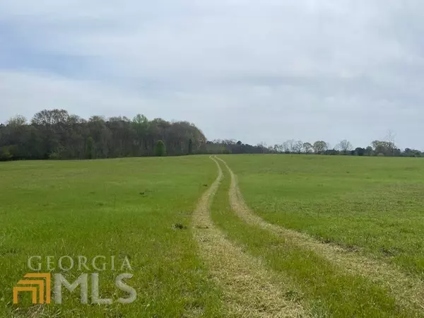 Milner, GA 30257,LOT 3 Hwy 36