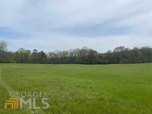 Milner, GA 30257,LOT 3 Hwy 36