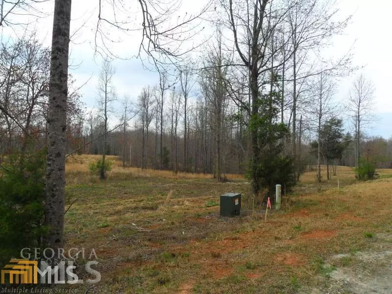 14 Stewart CV #LOT 14, Clarkesville, GA 30523