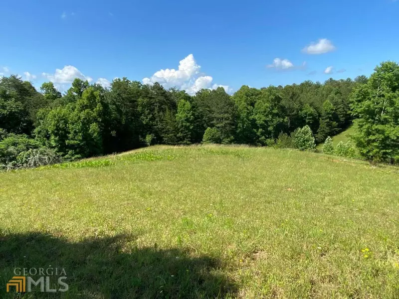 LT 18 Pond Overlook LN #18, Morganton, GA 30560