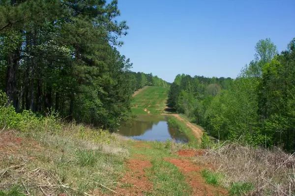 Newnan, GA 30263,847 Walt Sanders RD #255.580+/- ACRES