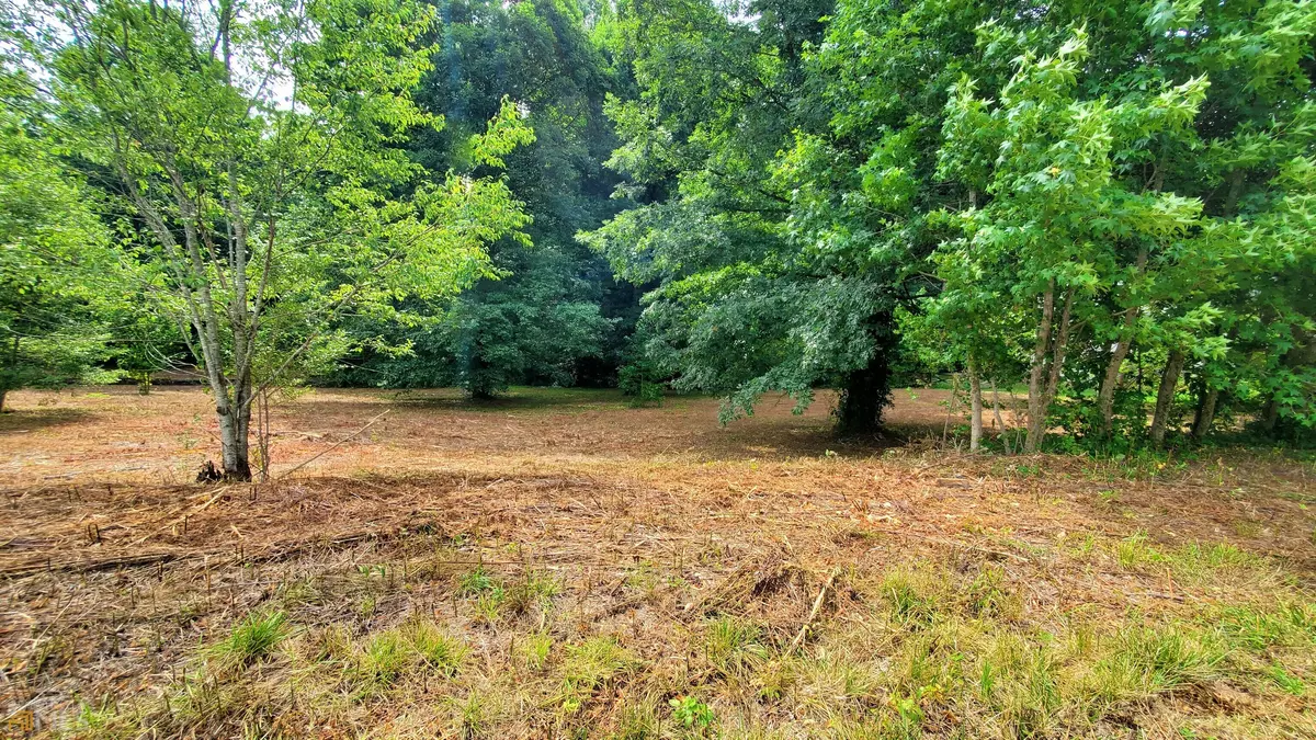 Mount Airy, GA 30563,LOT 10 Stonington DR