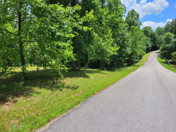 Blairsville, GA 30512,LT1 SPRING HILLS LANE