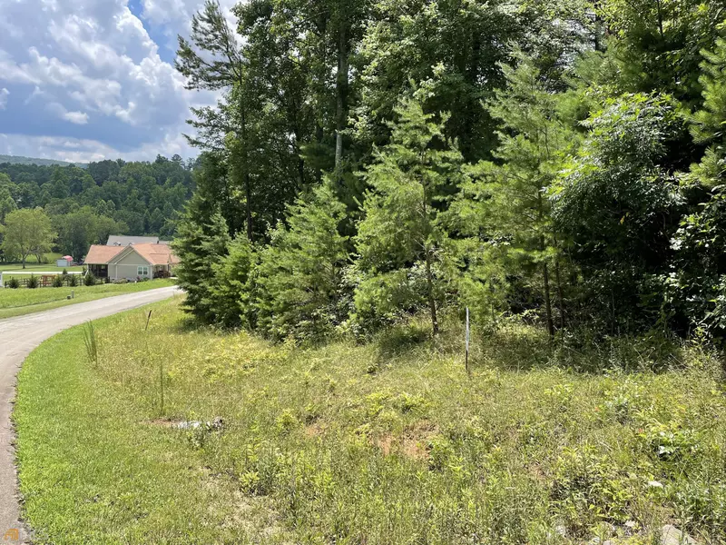 LOT 55, 56 Nathaniels Way, Blairsville, GA 30512