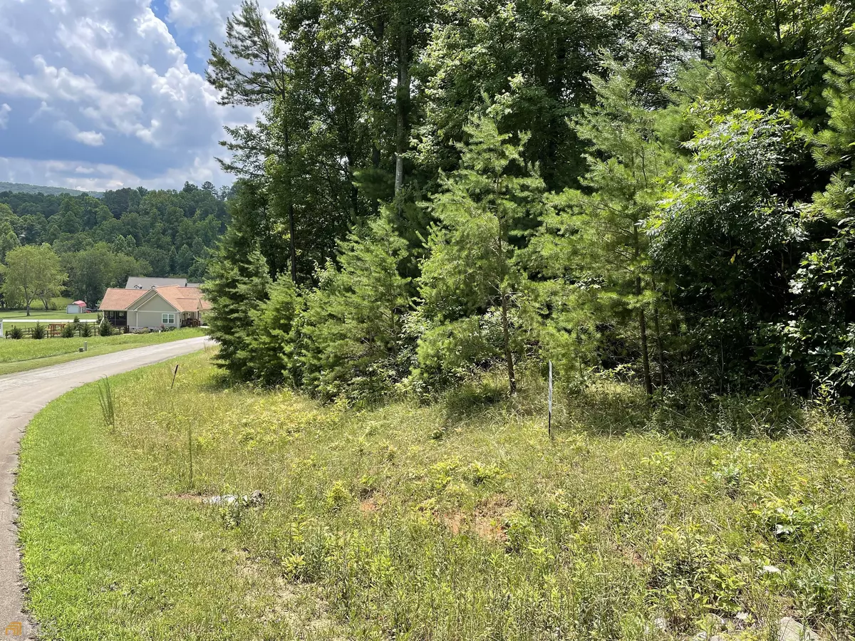 Blairsville, GA 30512,LOT 55, 56 Nathaniels Way