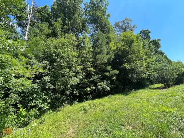 Ellijay, GA 30536,3 AC Ralston RD