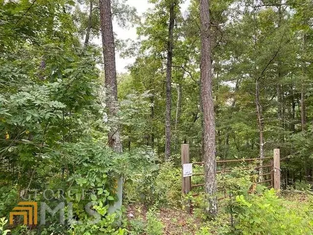 Mineral Bluff, GA 30559,LT 17 Whippoorwill WALK #17