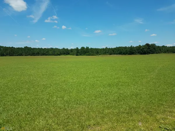 Brooklet, GA 30415,78AC Old Happy RD