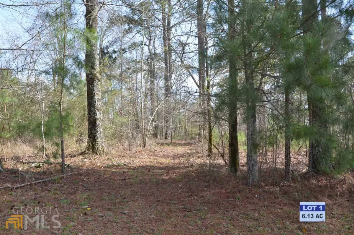 Greensboro, GA 30642,LOT 1 Eagle Way DR