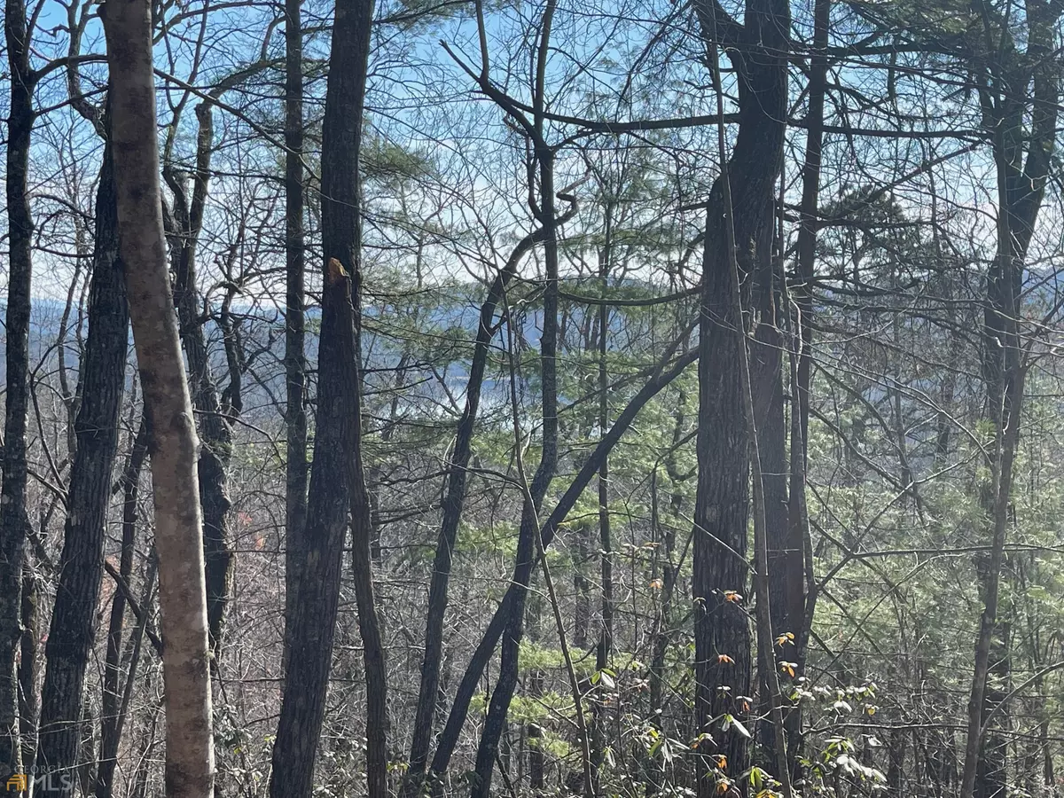 Lakemont, GA 30552,0 Rabun Bluffs #LOT 9