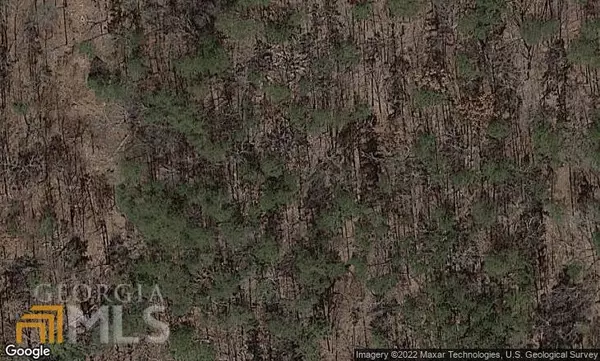 Waleska, GA 30183,117 Leopard CT