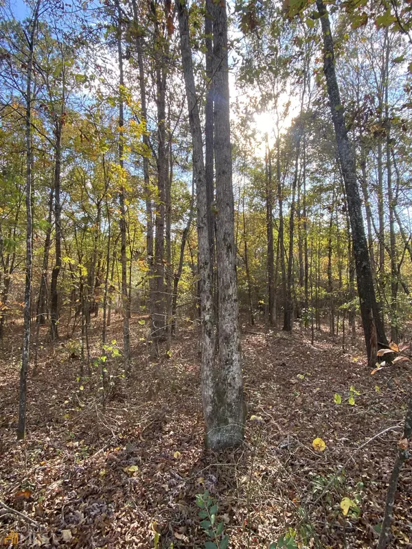 Jackson, GA 30233,LOT 5 Shelnut RD