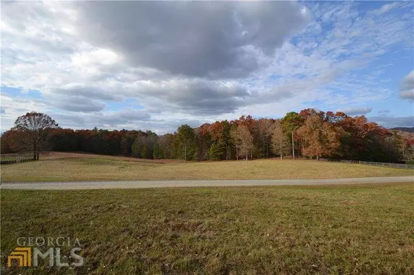 Ellijay, GA 30536,LOT 3 Spring Camp RD