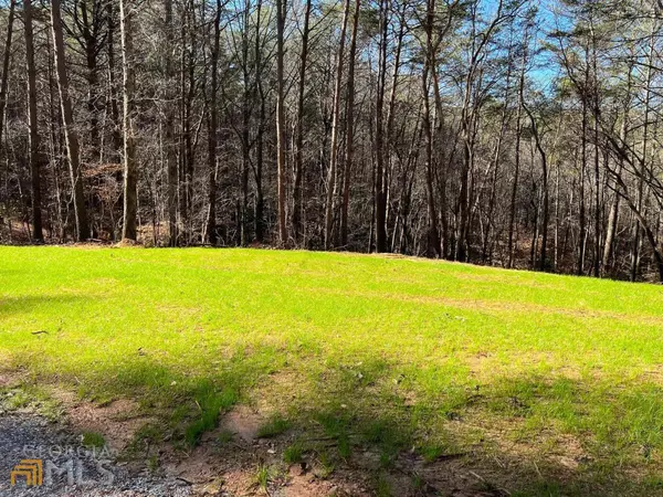 Ball Ground, GA 30107,LOT 15 Mineral Springs RD