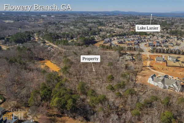 Flowery Branch, GA 30542,LOT 3 6244 Mount Salem CIR