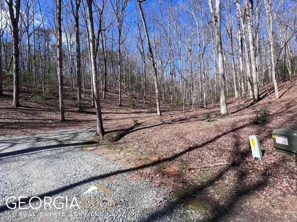 LOT 22 E Gold Mine RD #4.66 AC, Ellijay, GA 30536