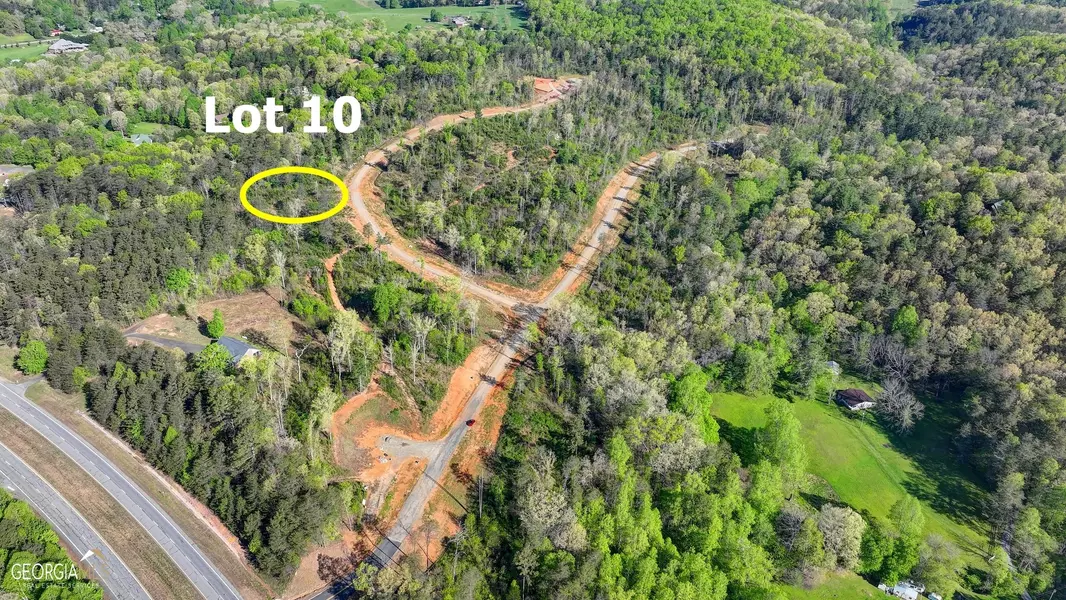 LOT 10 Greenfield RD, Morganton, GA 30560