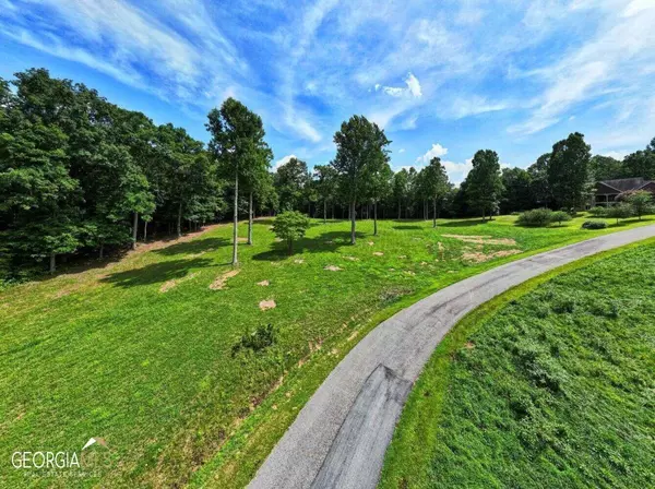 Blairsville, GA 30512,LOT 21 Pleasant MDWS