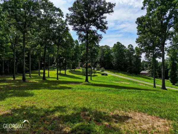 Blairsville, GA 30512,LOT 21 Pleasant MDWS