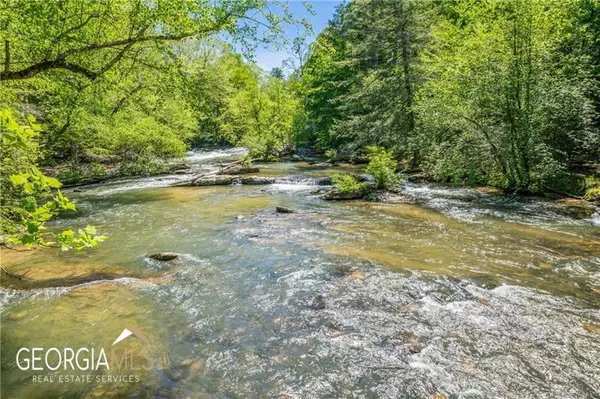 Ellijay, GA 30536,19 Blackberry Falls LN