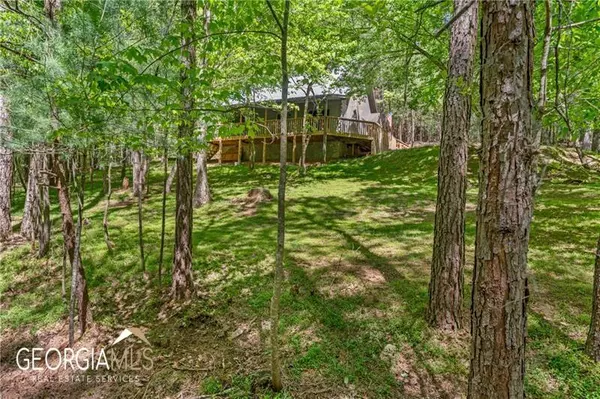 Ellijay, GA 30536,19 Blackberry Falls LN