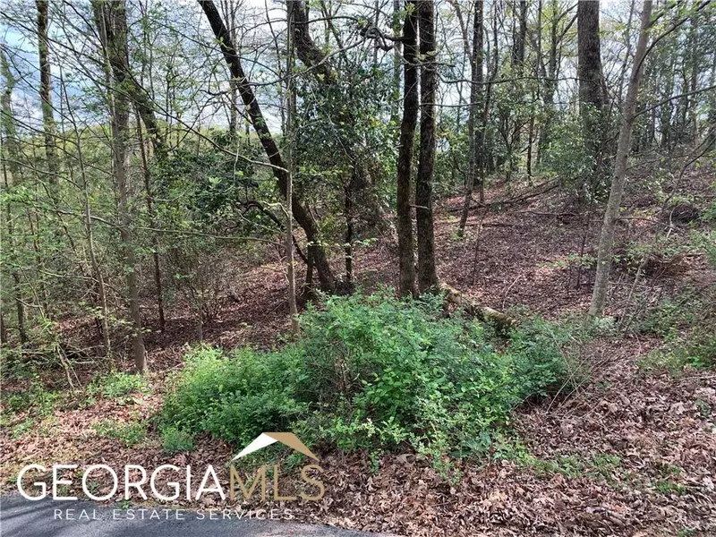 LOT094 Prospect TRL, Cleveland, GA 30528