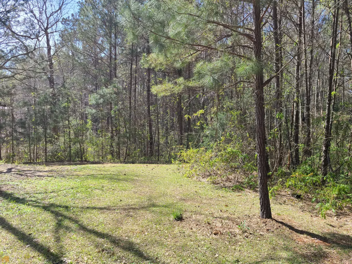 Grantville, GA 30220,LOT 1B Holtzclaw RD