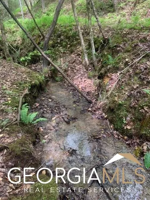 Morganton, GA 30560,0 Jonica Gap RD