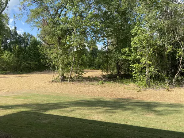 Milner, GA 30257,LOT 2 Cauthen RD