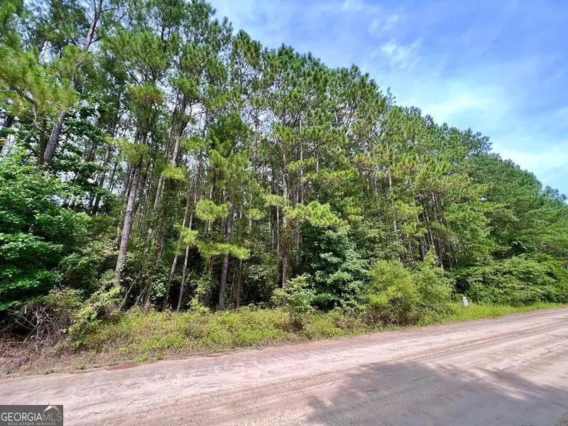 00 Shelly Rentz RD, Hazlehurst, GA 31539