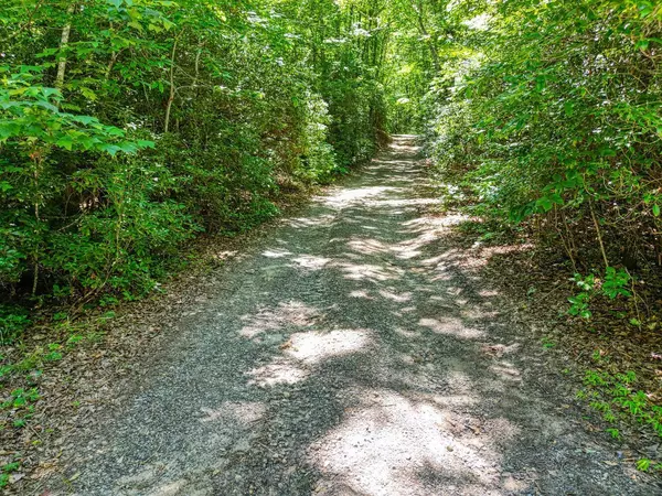 Hayesville, NC 28904,0 SAWYER COVE RD