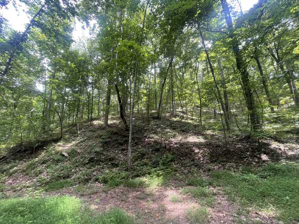 Ranger, GA 30734,674 Archery CT