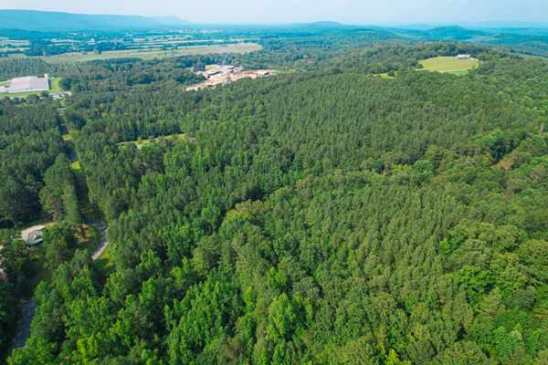 24 +/- AC. on Peach Orchard Road, Menlo, GA 30731