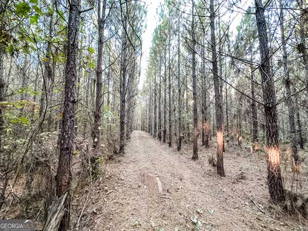 TRACT 2B Jordan Road #17.79 ACRES, Monticello, GA 31064