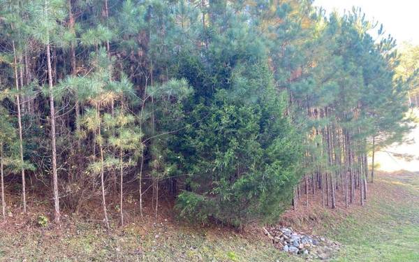 Blairsville, GA 30512,0 Pinehurst #LOT 3