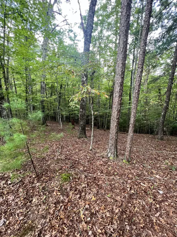 Murphy, NC 28906,14 LOTS Hedden PNES