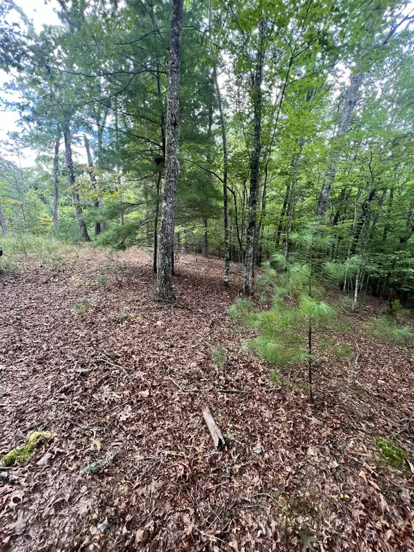 Murphy, NC 28906,14 LOTS Hedden PNES