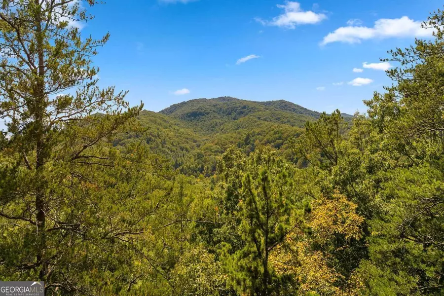 2.24 Acres Martin XING, Cherry Log, GA 30522