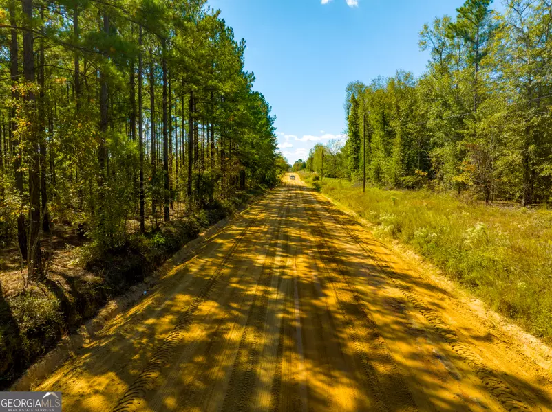 LOT 14 Rocky Springs Roads, Eastman, GA 31023