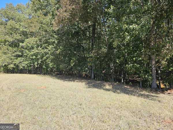 Monticello, GA 31064,0 Highway 16 E Tract 1