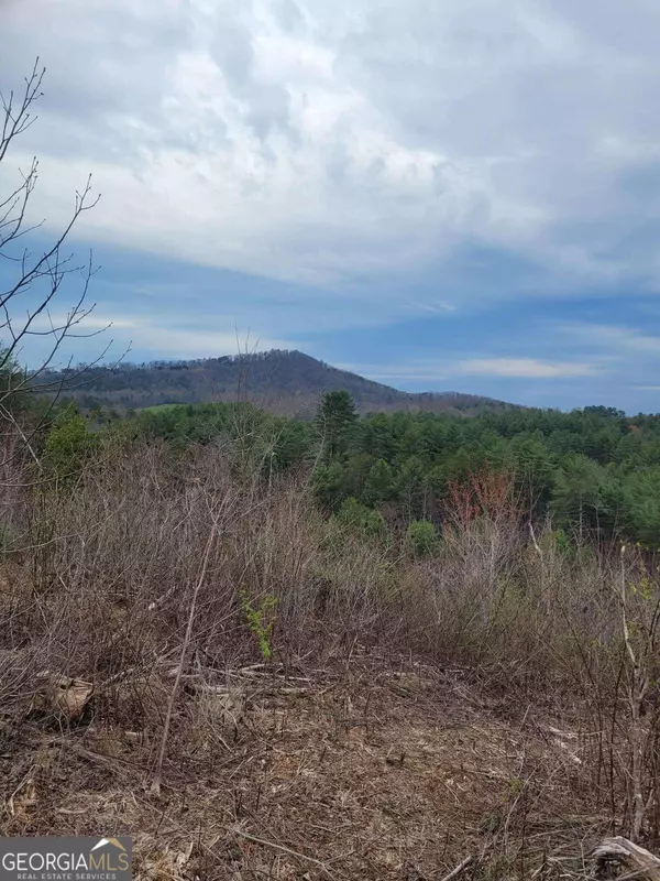 Mineral Bluff, GA 30559,16+AC Hardscrabble RD