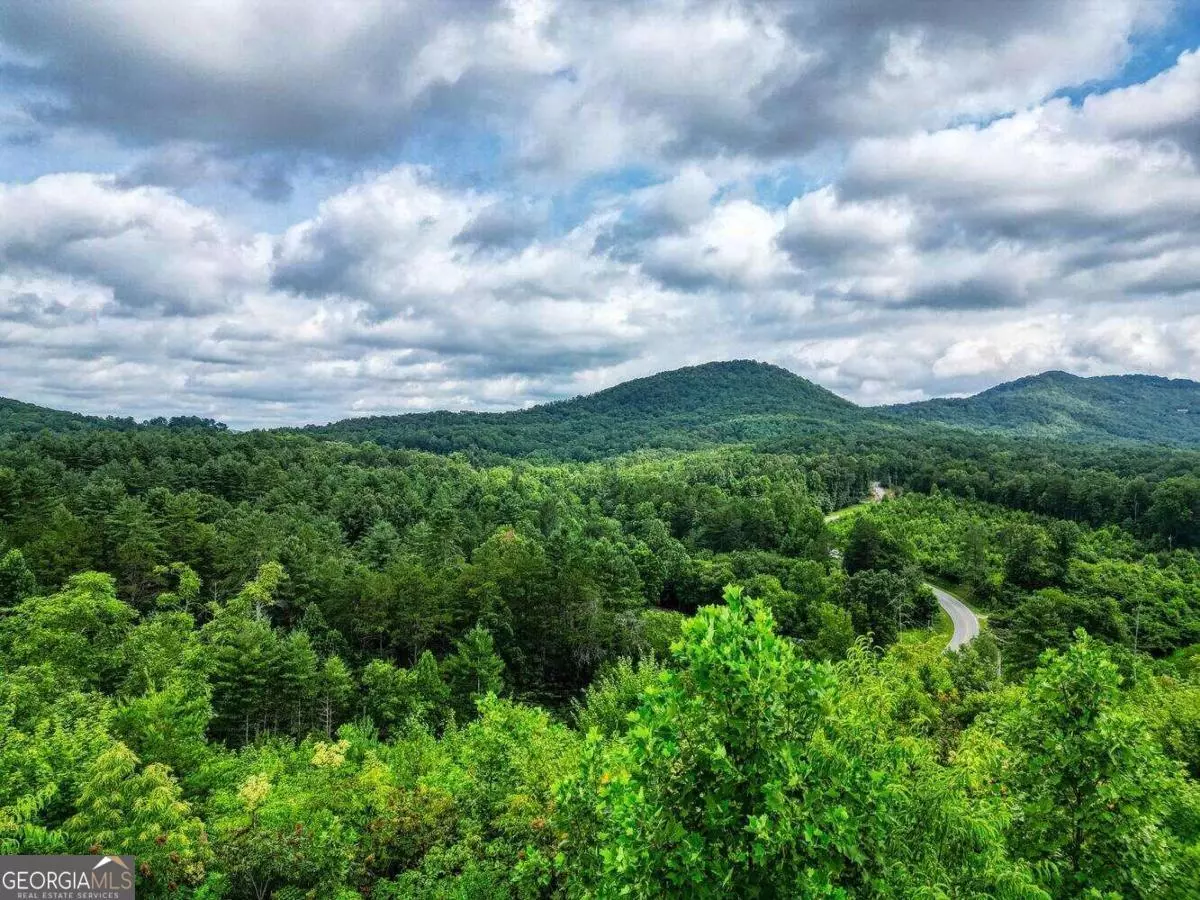 Mineral Bluff, GA 30559,16+AC Hardscrabble RD