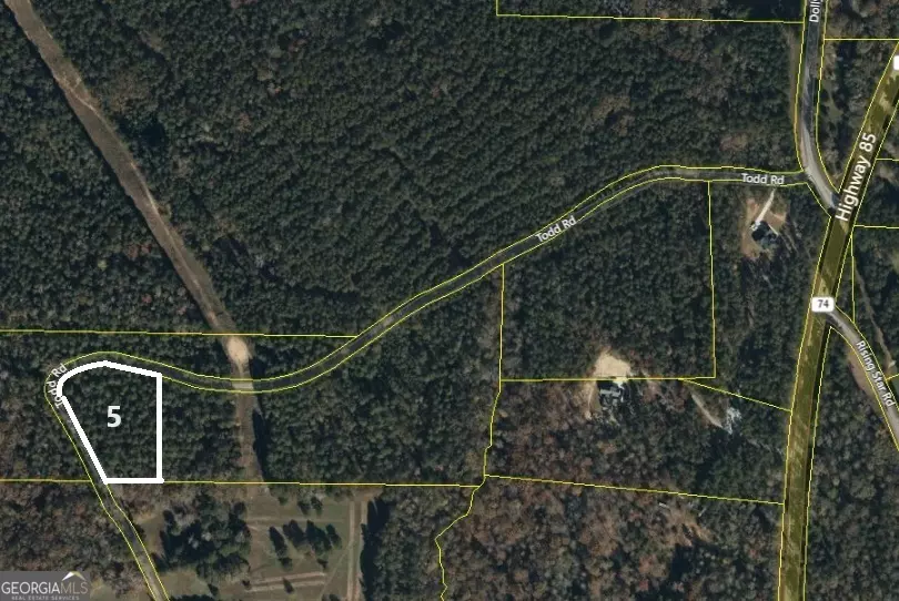 LOT 5 Todd Five, Senoia, GA 30276