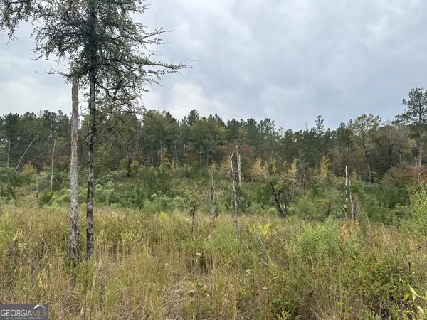 Talbotton, GA 31827,LOT #3 Highway 208 #55 ACRES