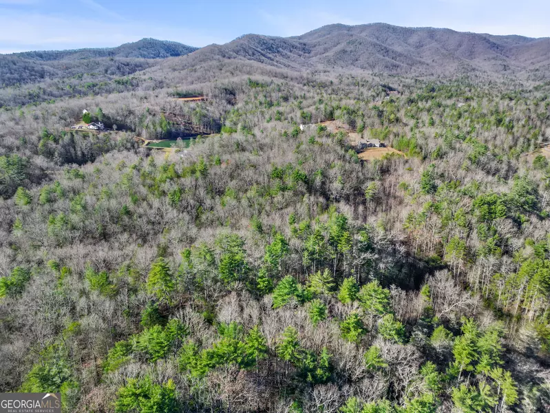 5.3 AC Joel Walker DR, Ellijay, GA 30540