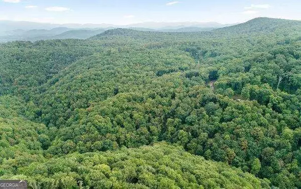 Ellijay, GA 30540,232 Andes Ridge