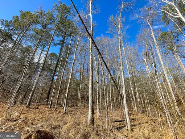 Summerville, GA 30747,137 ACRES on East Armuchee Road