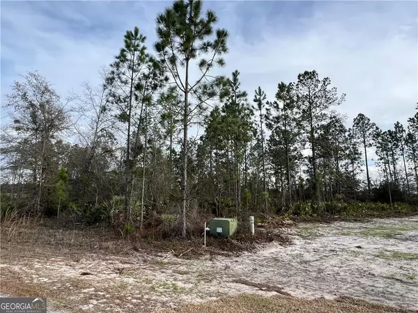 Jesup, GA 31545,LOT 16 & 17 Long Leaf LN